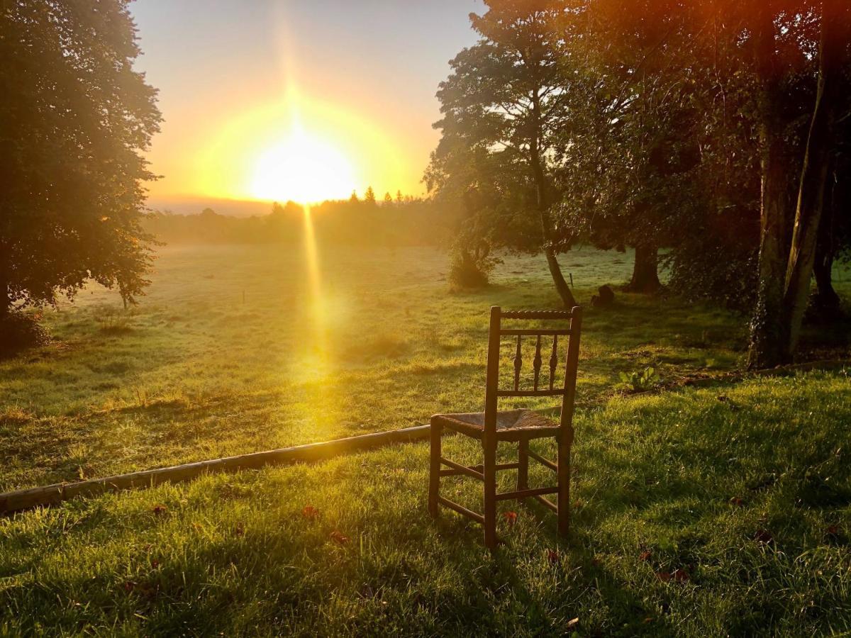 Affittacamere Edmondstown House Ballaghaderreen Esterno foto
